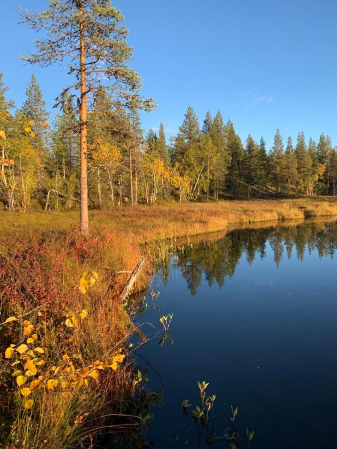 Off-Grid Cabin In Nattavaara Lapland Экстерьер фото