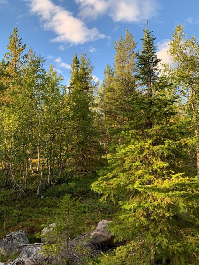 Off-Grid Cabin In Nattavaara Lapland Экстерьер фото
