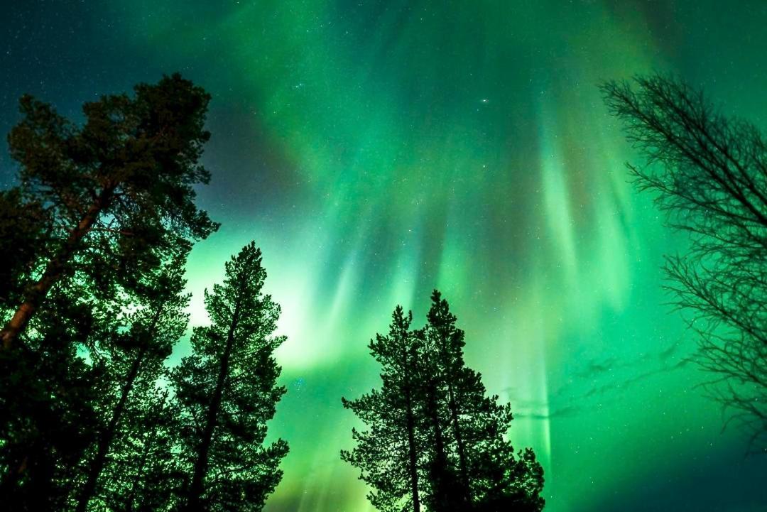 Off-Grid Cabin In Nattavaara Lapland Экстерьер фото